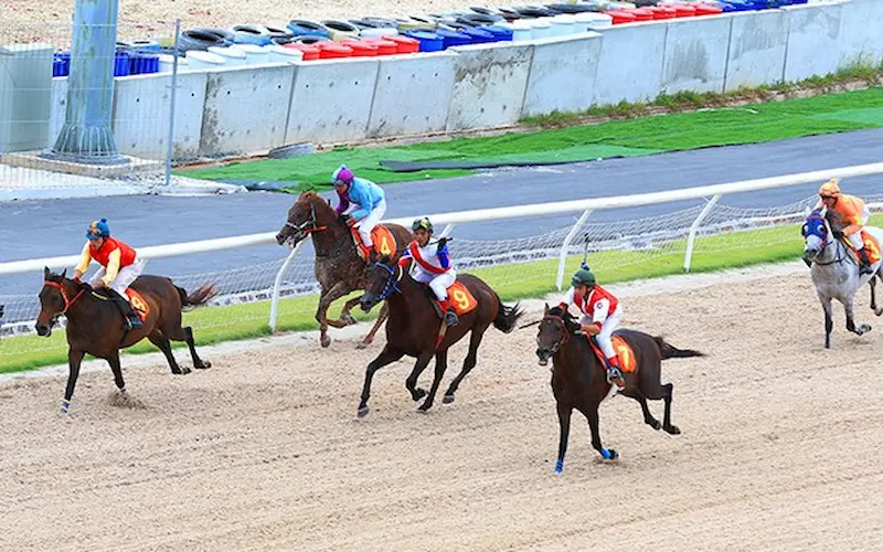 Một số lưu ý khi tham gia cá cược đua ngựa tại 789bet