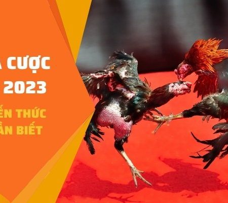 Cách Cá Cược Gà Chọi 2023: Một số kiến thức Newbie cần biết