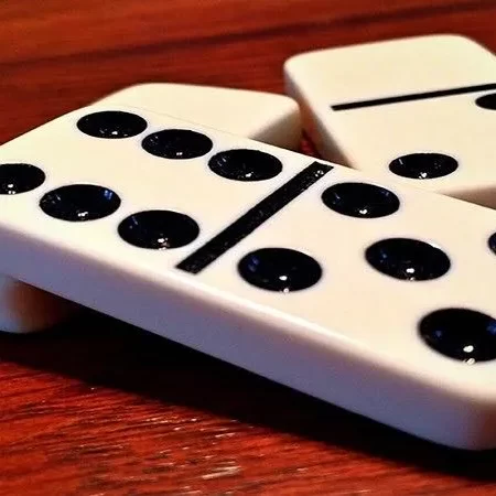 Bài cẩu là gì? – Câu hỏi sẽ được giải đáp trong hôm nay