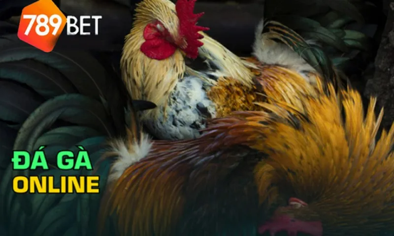 789BET là trang cá cược đá gà trực tuyến số 1 thị trường