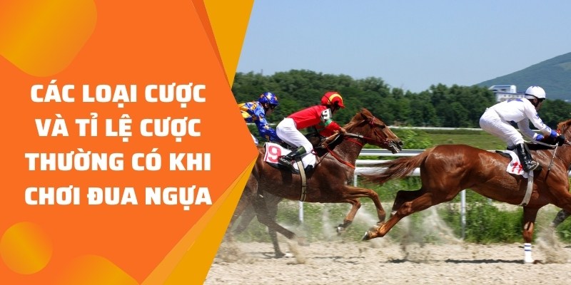cách cá cược đua ngựa các loại kèo