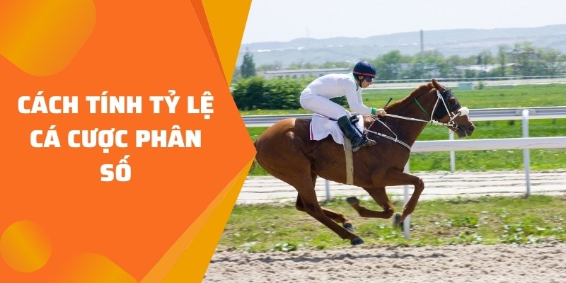 cách cá cược đua ngựa phân số
