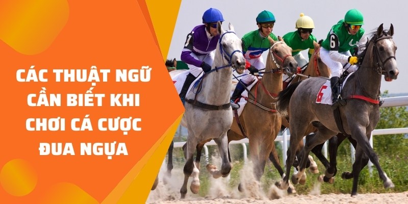 cách cá cược đua ngựa thuật ngữ