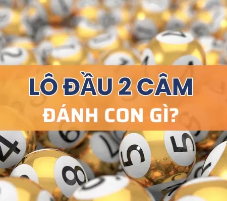 Lô đầu 2 câm đánh con gì? – Mẹo đánh lô đầu 2 câm hiệu quả