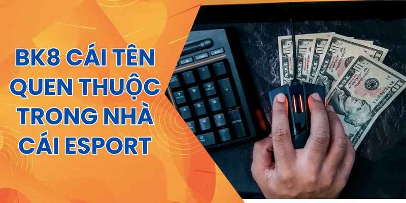 BK8 - Giữ vững phong độ khi giữ được sự yêu thích