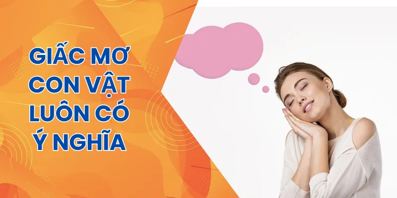 Giấc mơ con vật có thể đem đến cho bạn nhiều may mắn nếu luận giải đúng