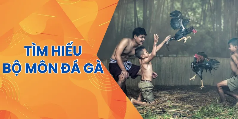 Đá gà là trò chơi dân gian có từ lâu đời