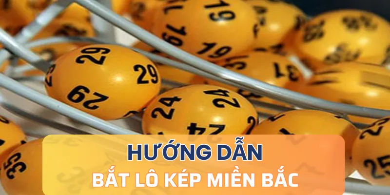 Hướng dẫn bắt lô kép miền Bắc dễ dàng trúng lớn tại 789bet