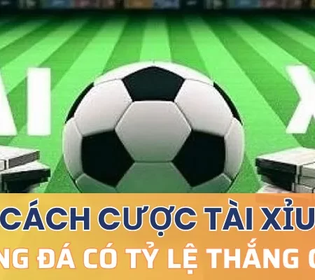 Cách cược tài xỉu bóng đá có tỷ lệ thắng cao tại nhà cái