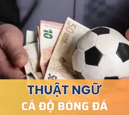 Thuật ngữ cá độ bóng đá nhất định người chơi phải biết