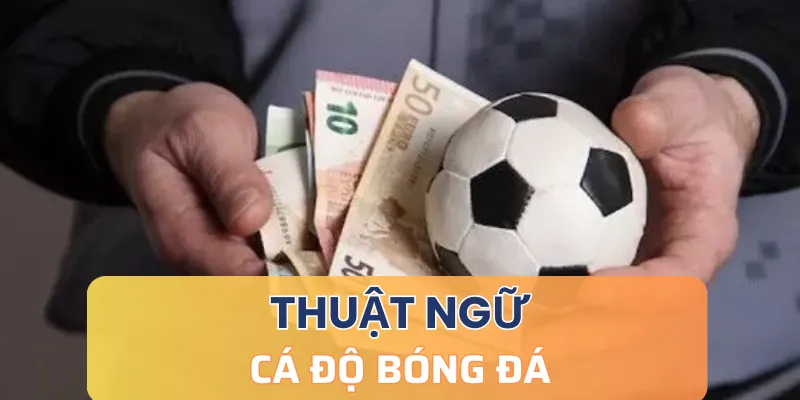 Các kiểu thuật ngữ cá cược bóng đá