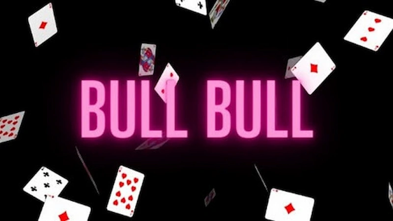 Giới thiệu về Bull Bull